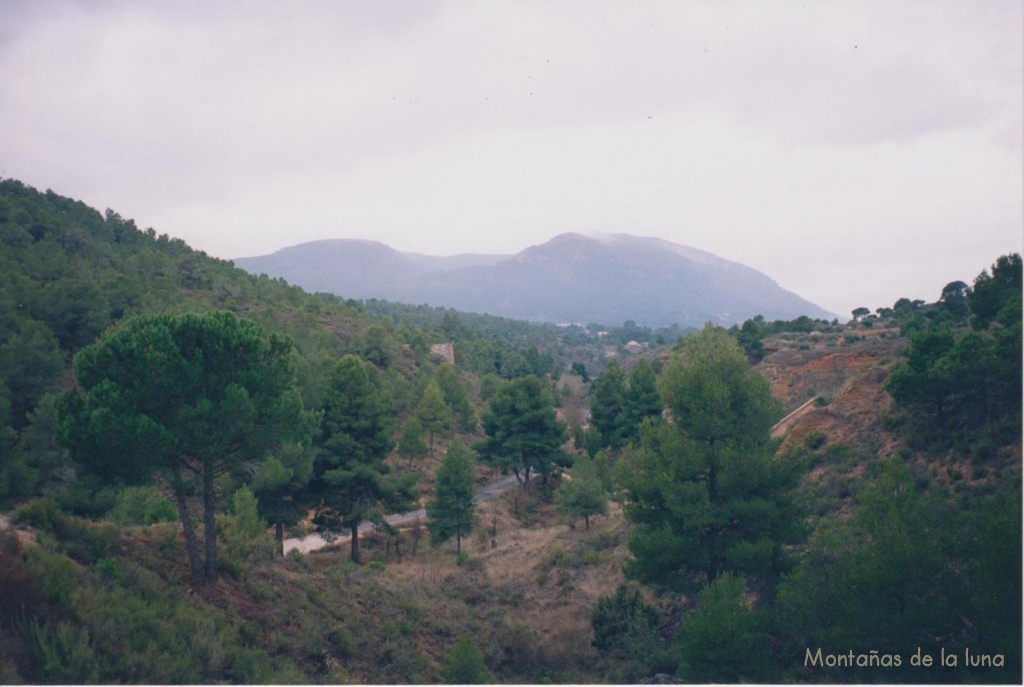 Llegando a Biar, al fondo la Sierra de La Peñarrubia